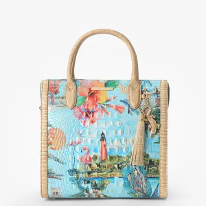 Caroline Satchel Multi Banner