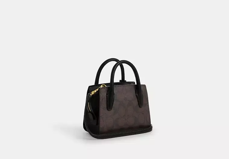 C.O.A.C.H Andrea Mini Carryall In Signature Canvas Bag