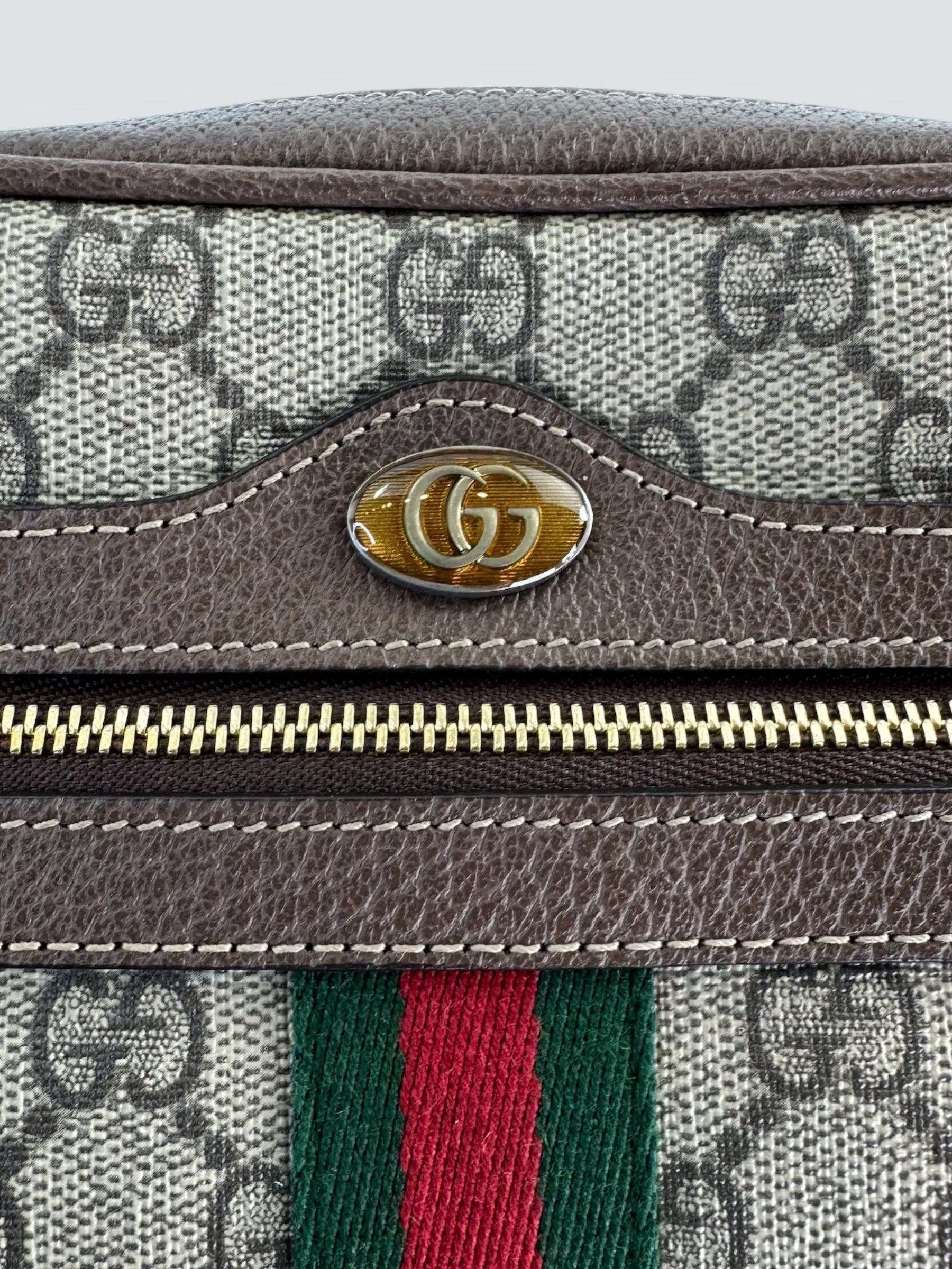 Gucci Small Monogram Canvas Supreme Ophidia Crossbody