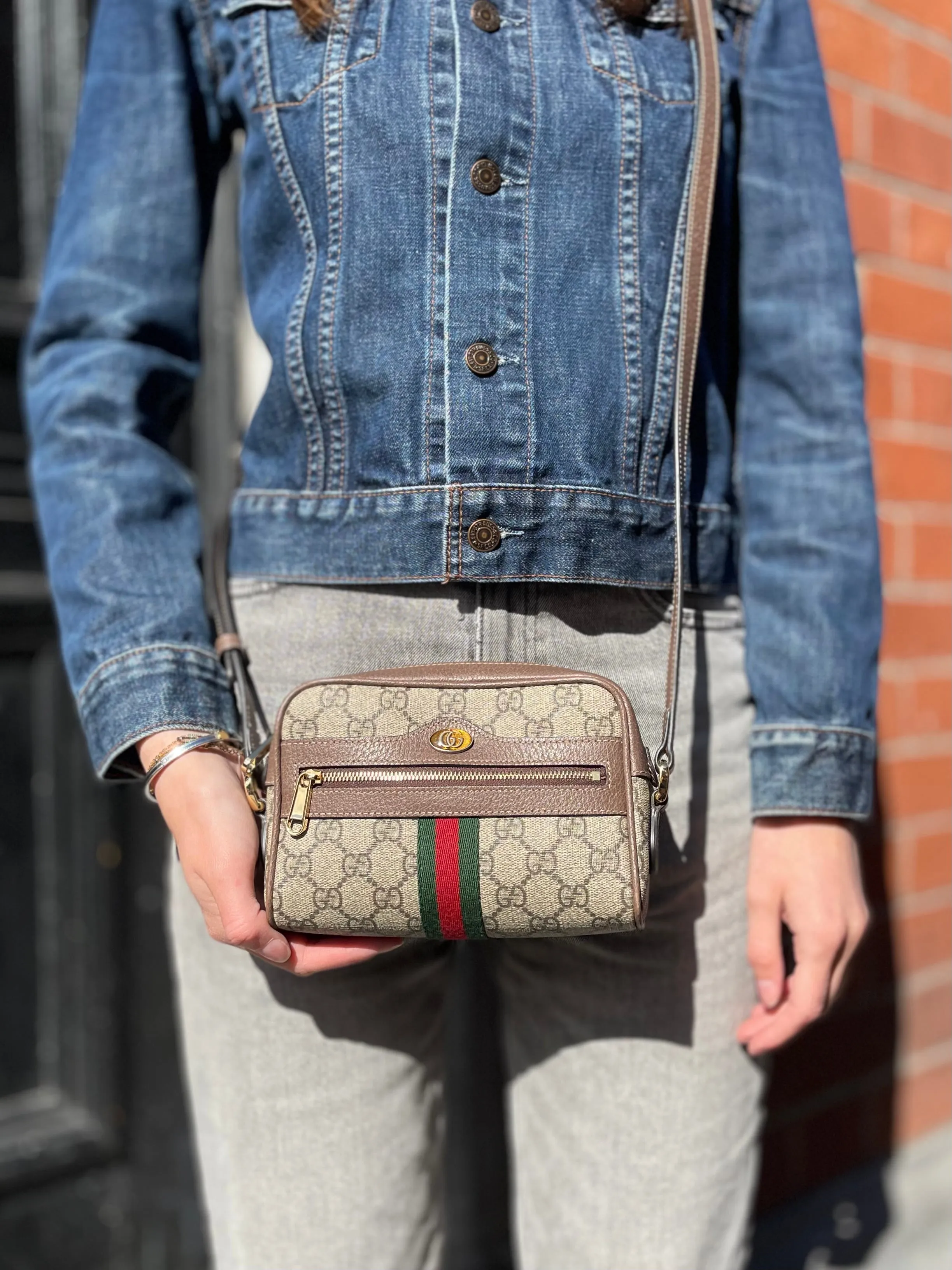 Gucci Small Monogram Canvas Supreme Ophidia Crossbody