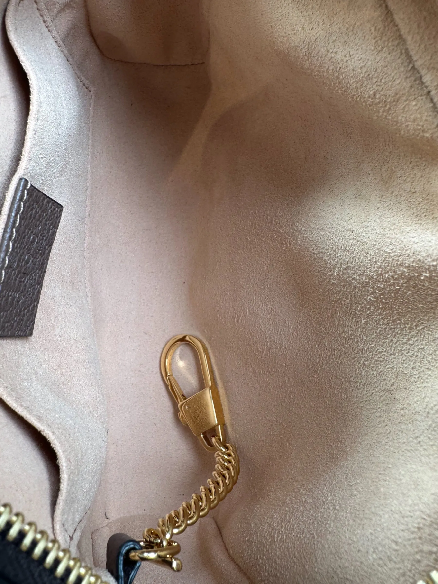 Gucci Small Monogram Canvas Supreme Ophidia Crossbody