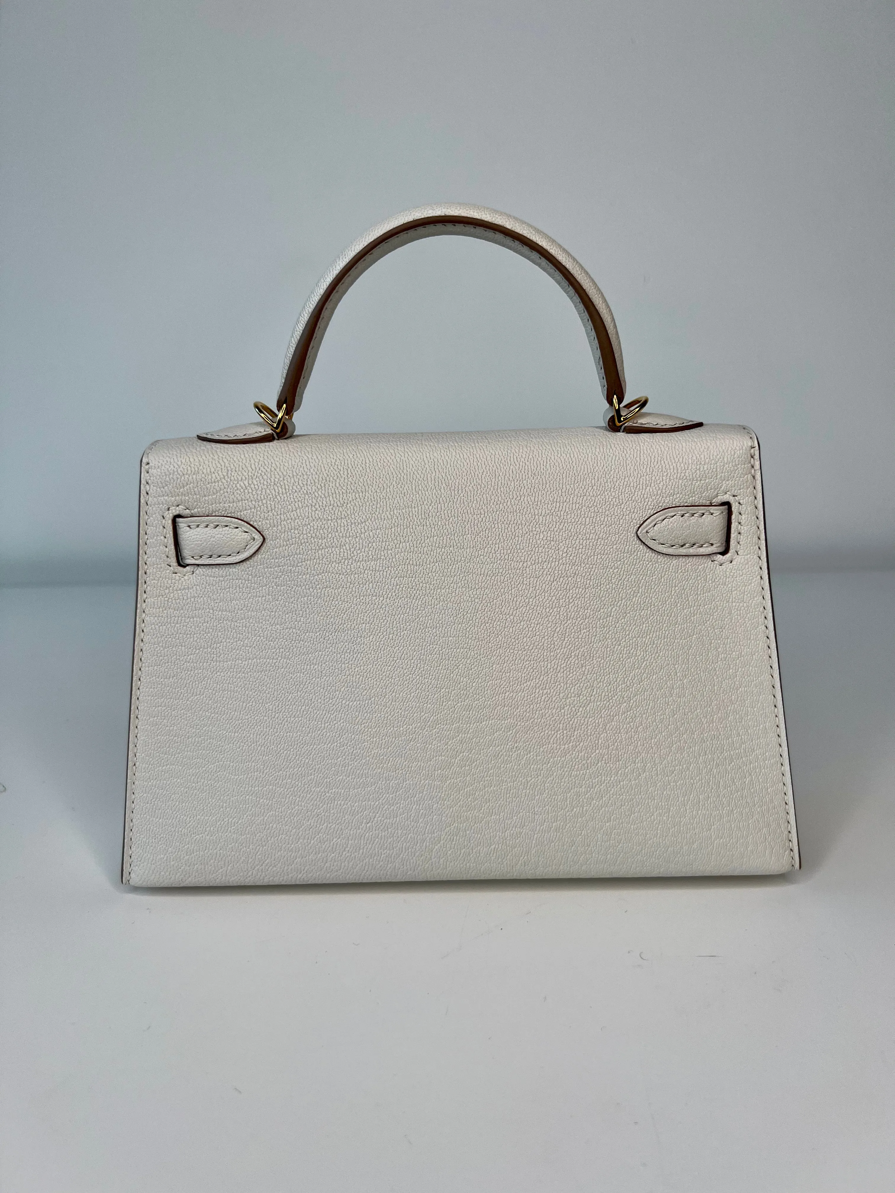 Herm??s Kelly 20 Mushroom Chevre Gold Hardware