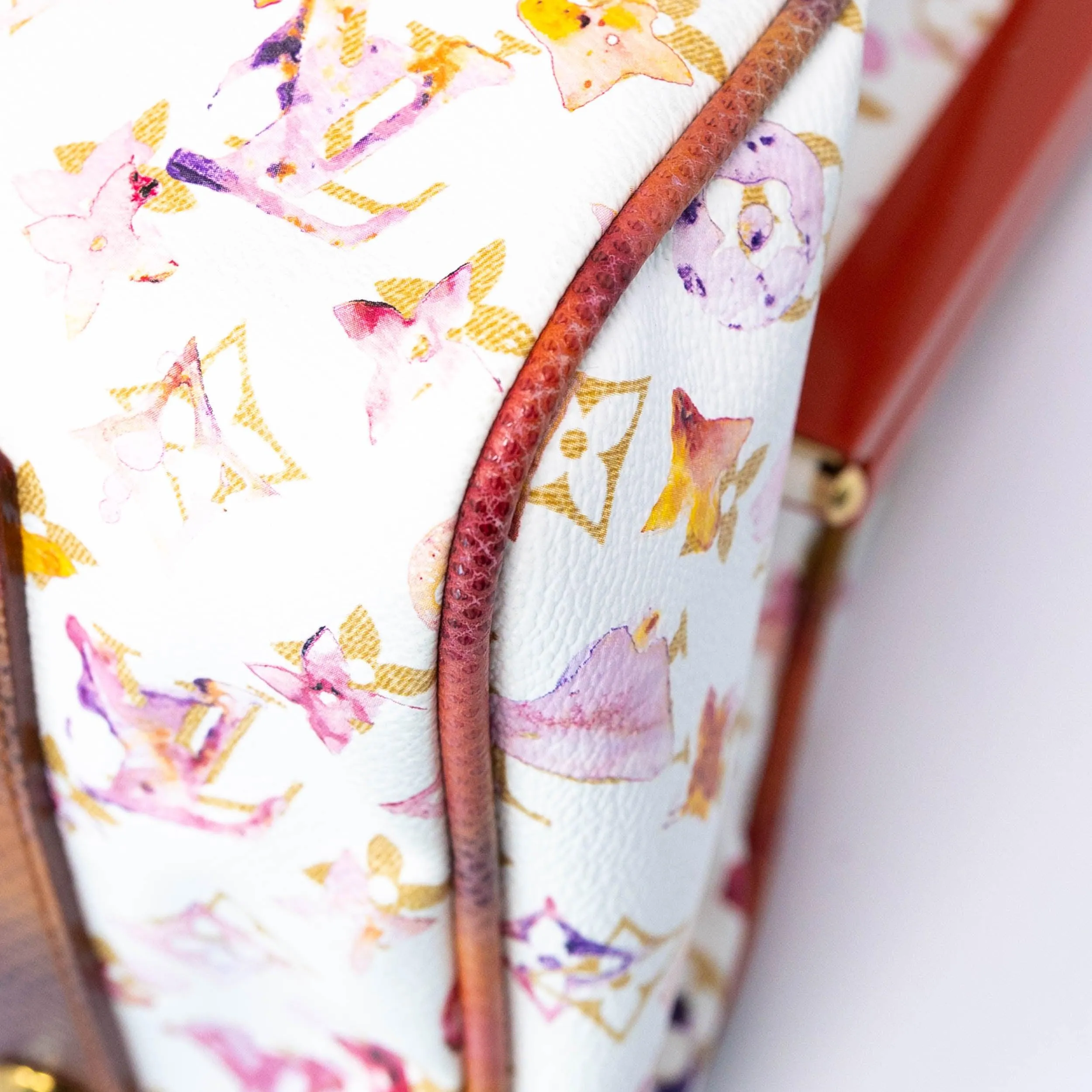 Louis Vuitton Aquarelle Frame Speedy 30