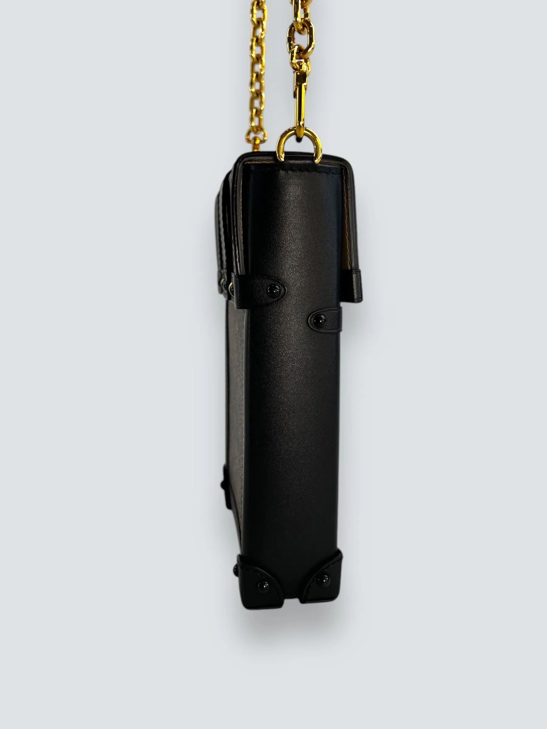 Louis Vuitton Monogram Canvas & Leather Vertical Trunk Crossbody