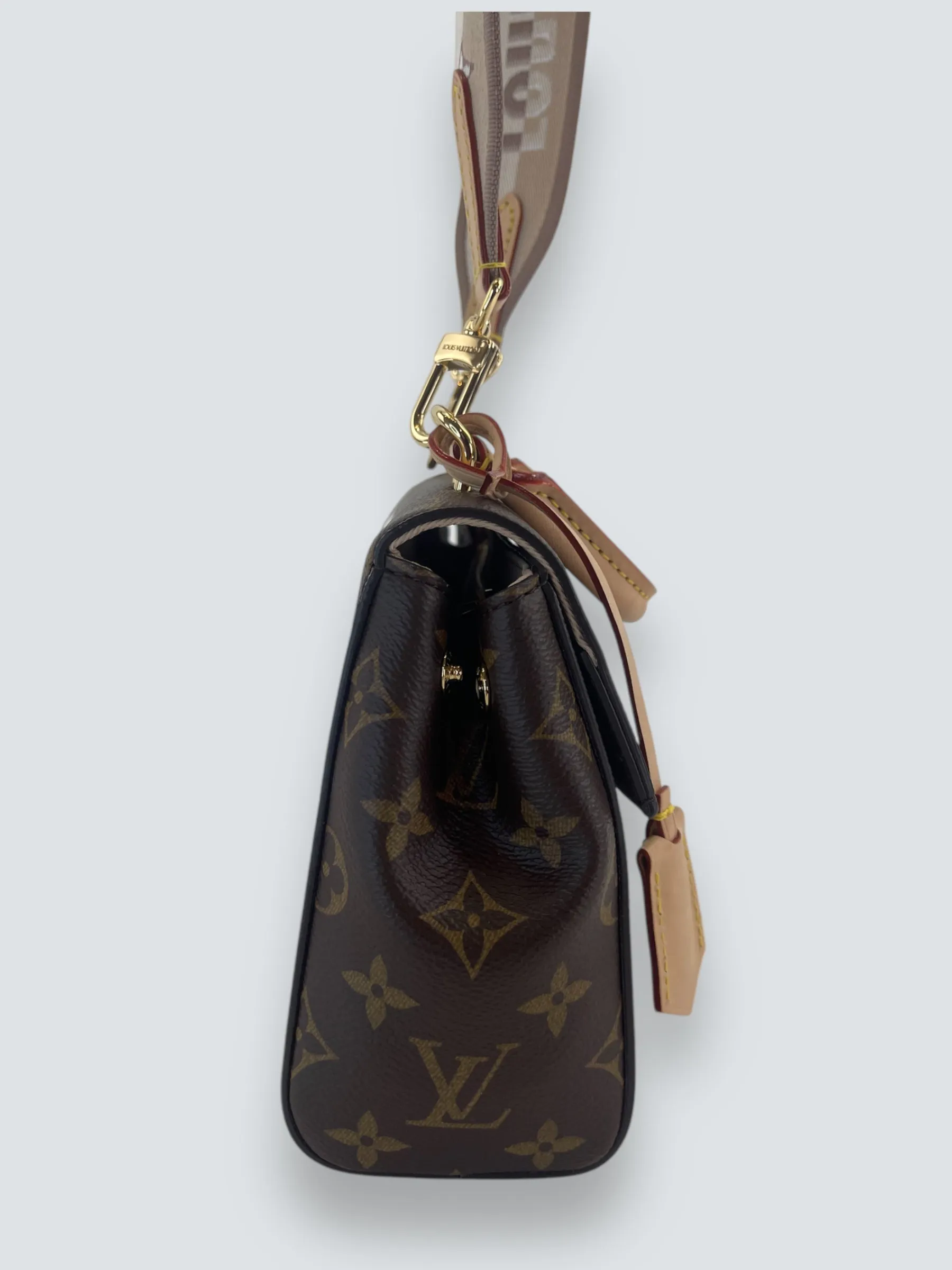 Louis Vuitton Monogram Canvas Mini Cluny Crossbody