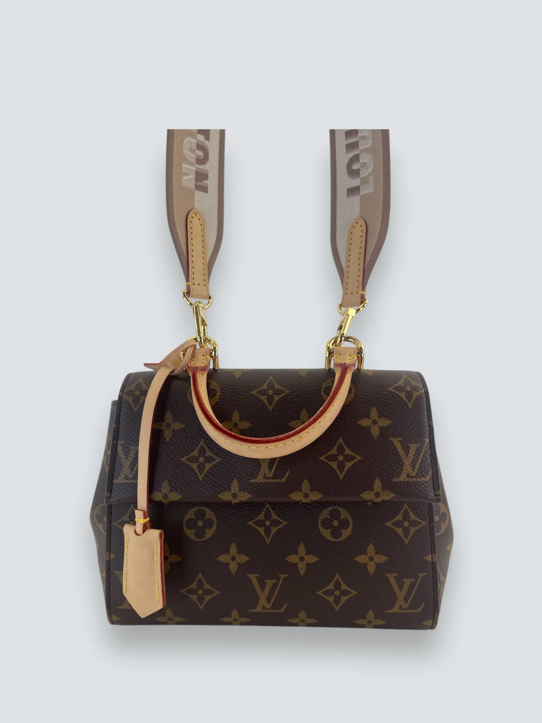 Louis Vuitton Monogram Canvas Mini Cluny Crossbody