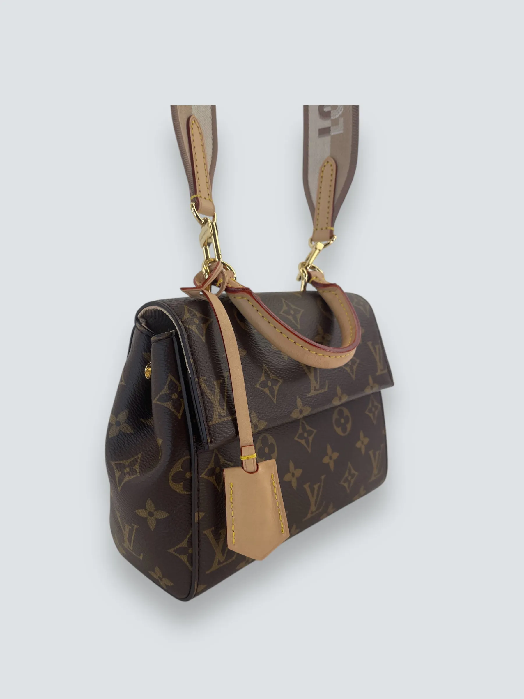 Louis Vuitton Monogram Canvas Mini Cluny Crossbody