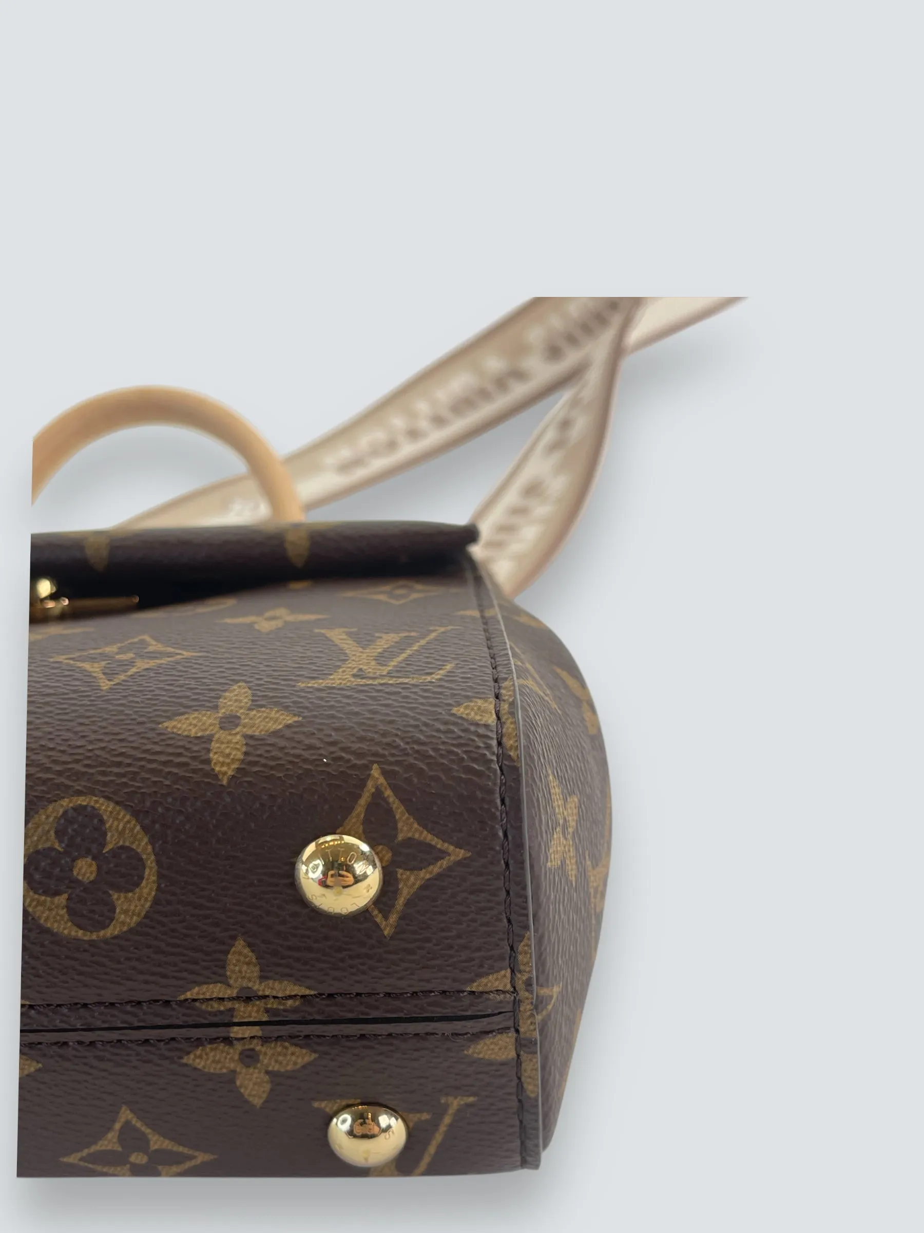 Louis Vuitton Monogram Canvas Mini Cluny Crossbody