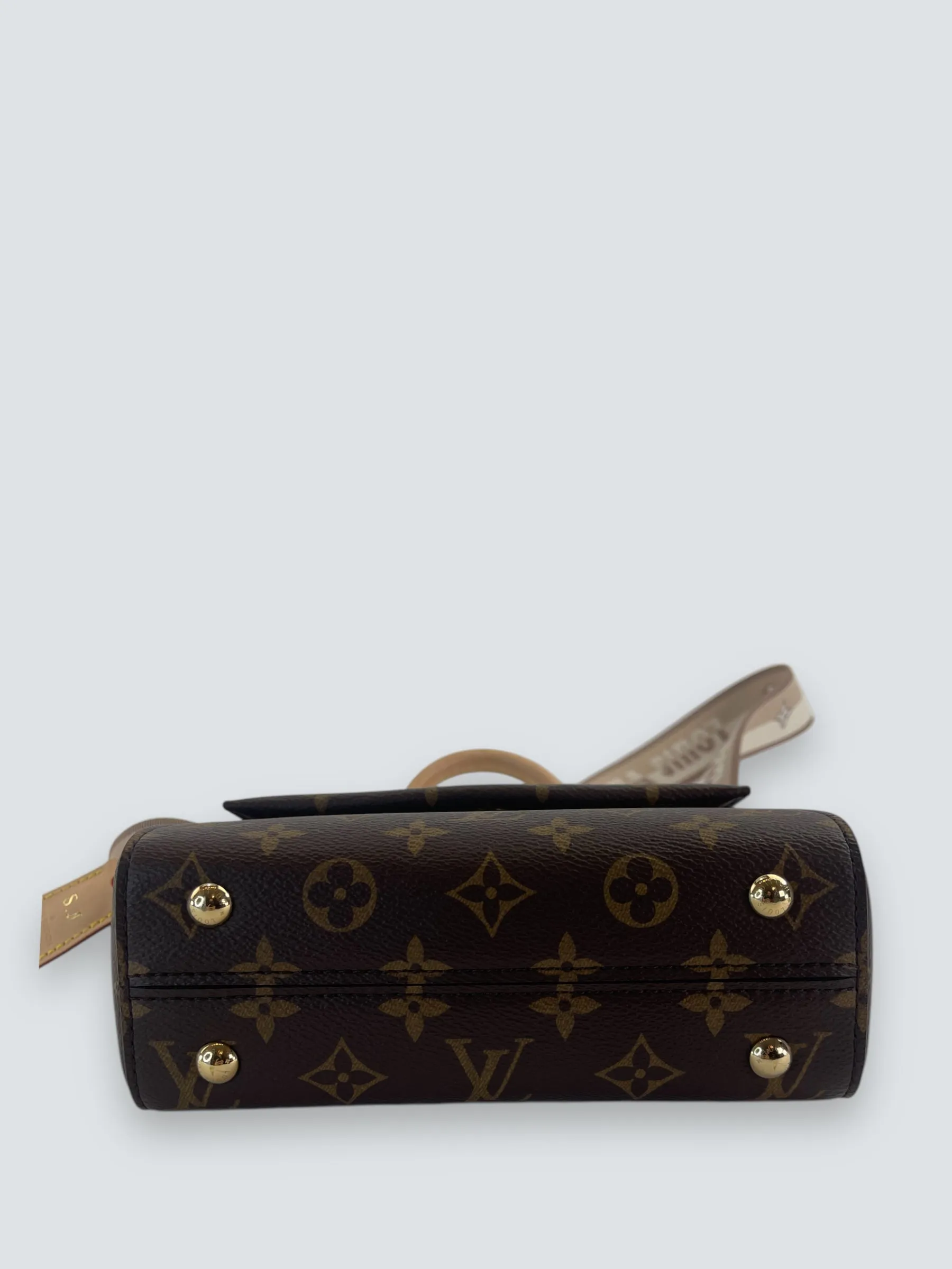 Louis Vuitton Monogram Canvas Mini Cluny Crossbody