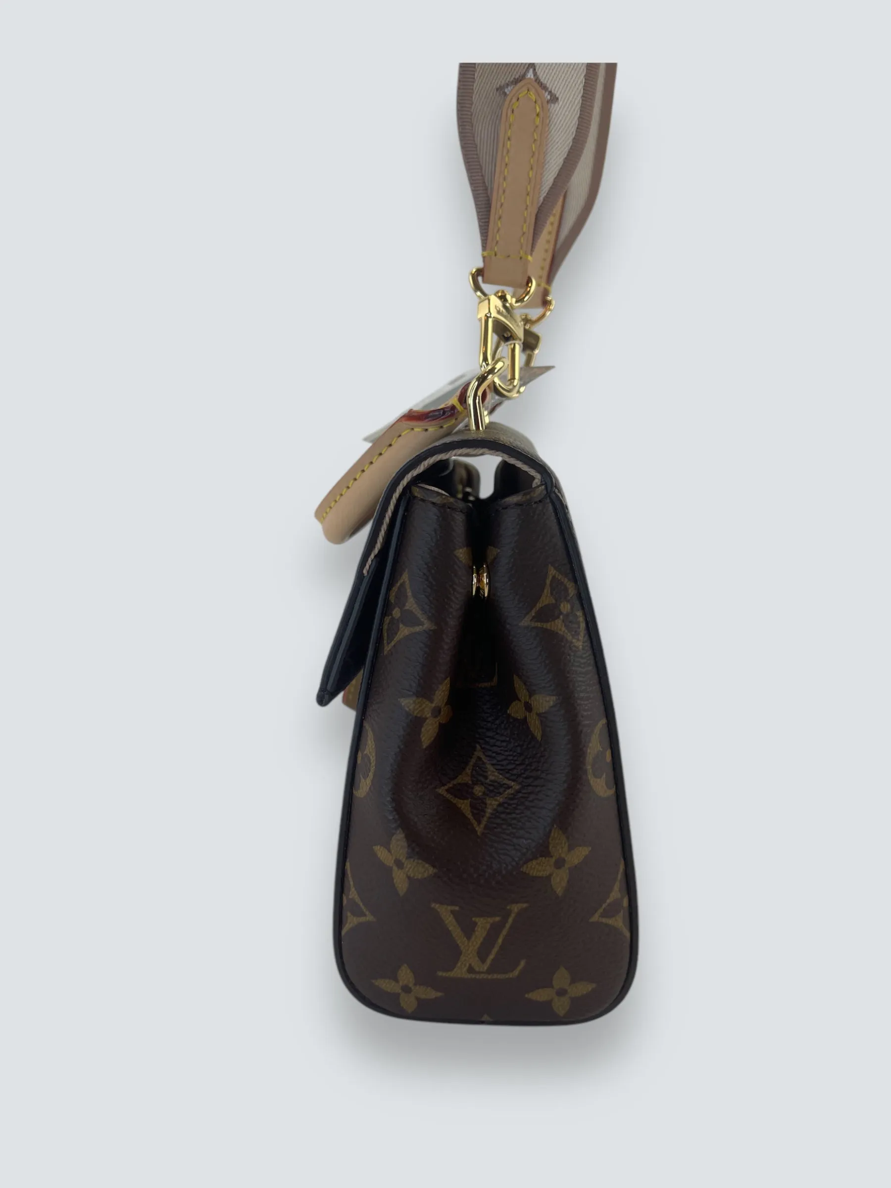 Louis Vuitton Monogram Canvas Mini Cluny Crossbody