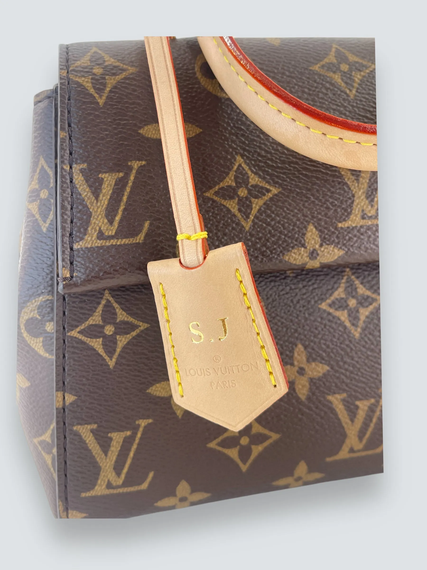 Louis Vuitton Monogram Canvas Mini Cluny Crossbody