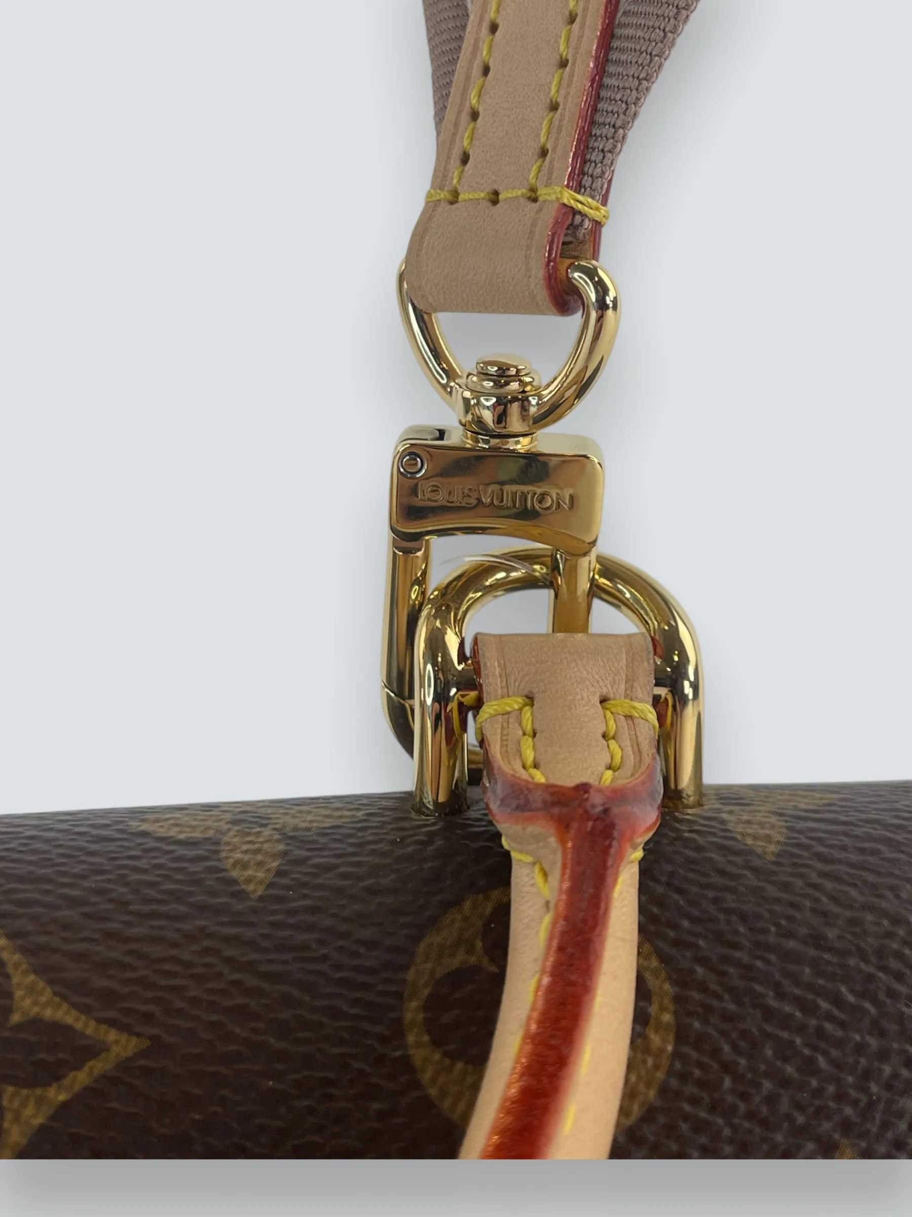 Louis Vuitton Monogram Canvas Mini Cluny Crossbody