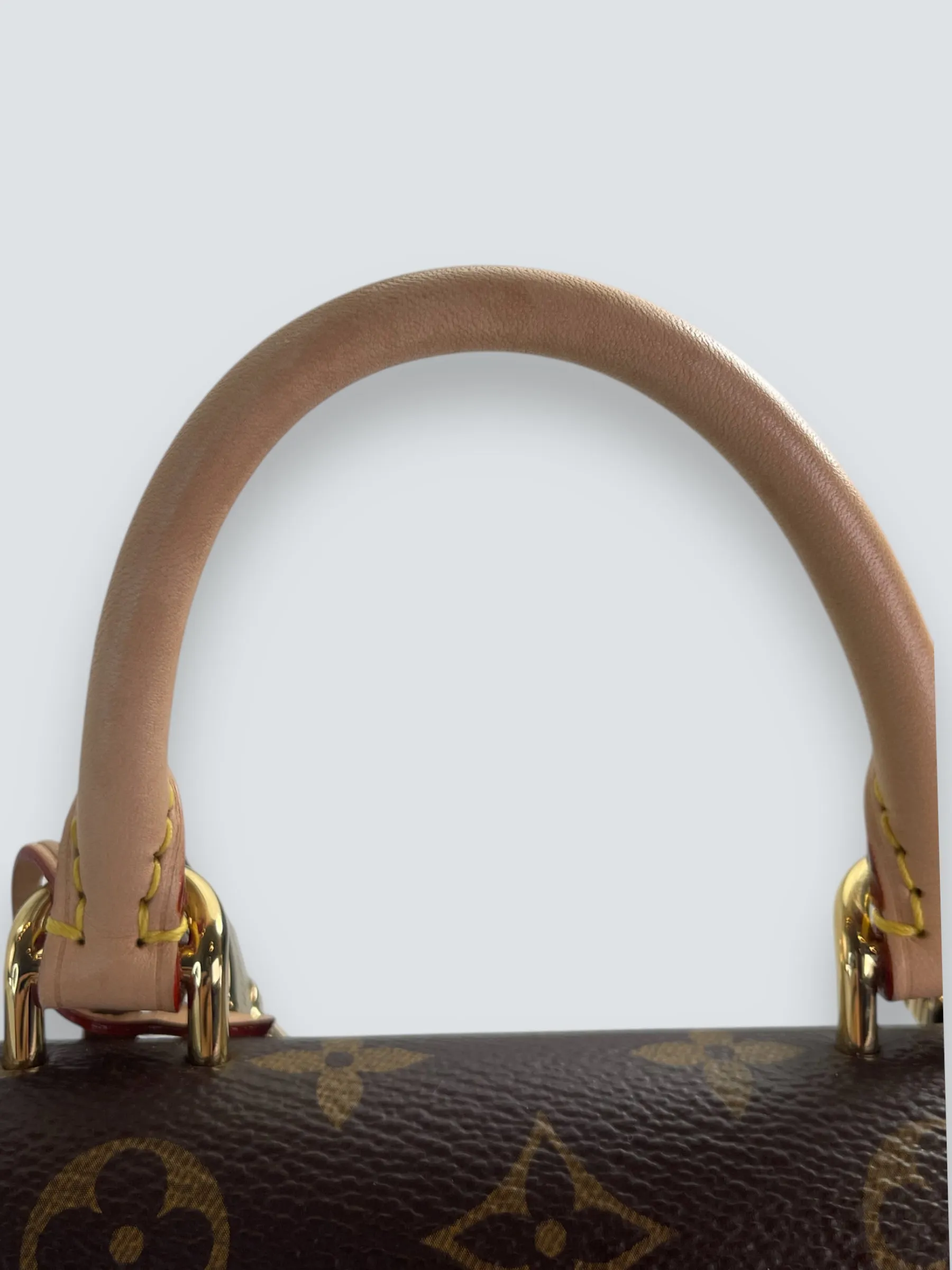 Louis Vuitton Monogram Canvas Mini Cluny Crossbody
