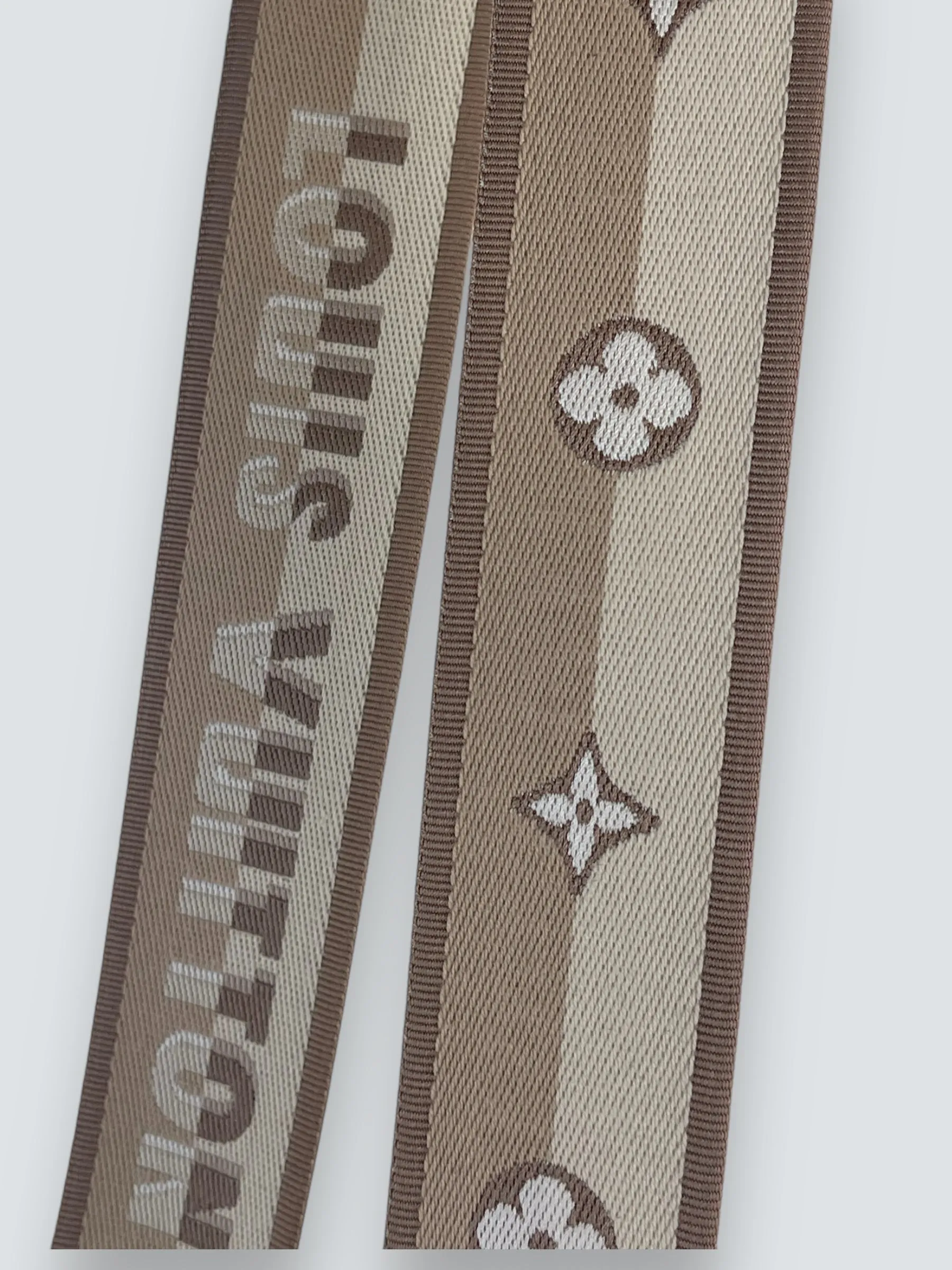 Louis Vuitton Monogram Canvas Mini Cluny Crossbody