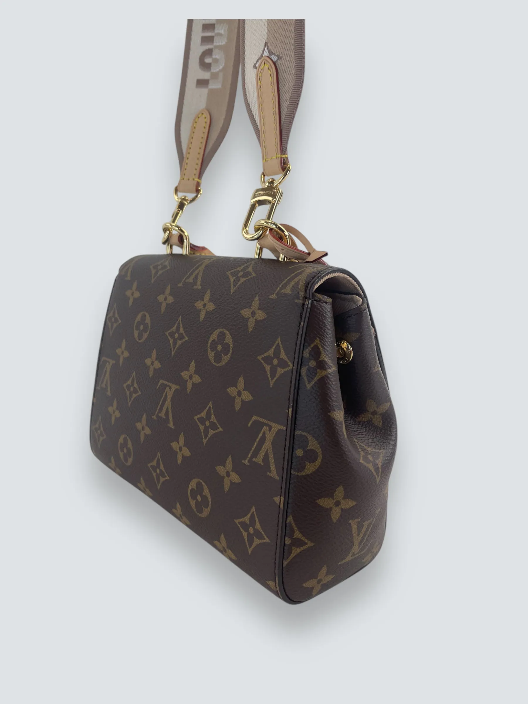 Louis Vuitton Monogram Canvas Mini Cluny Crossbody