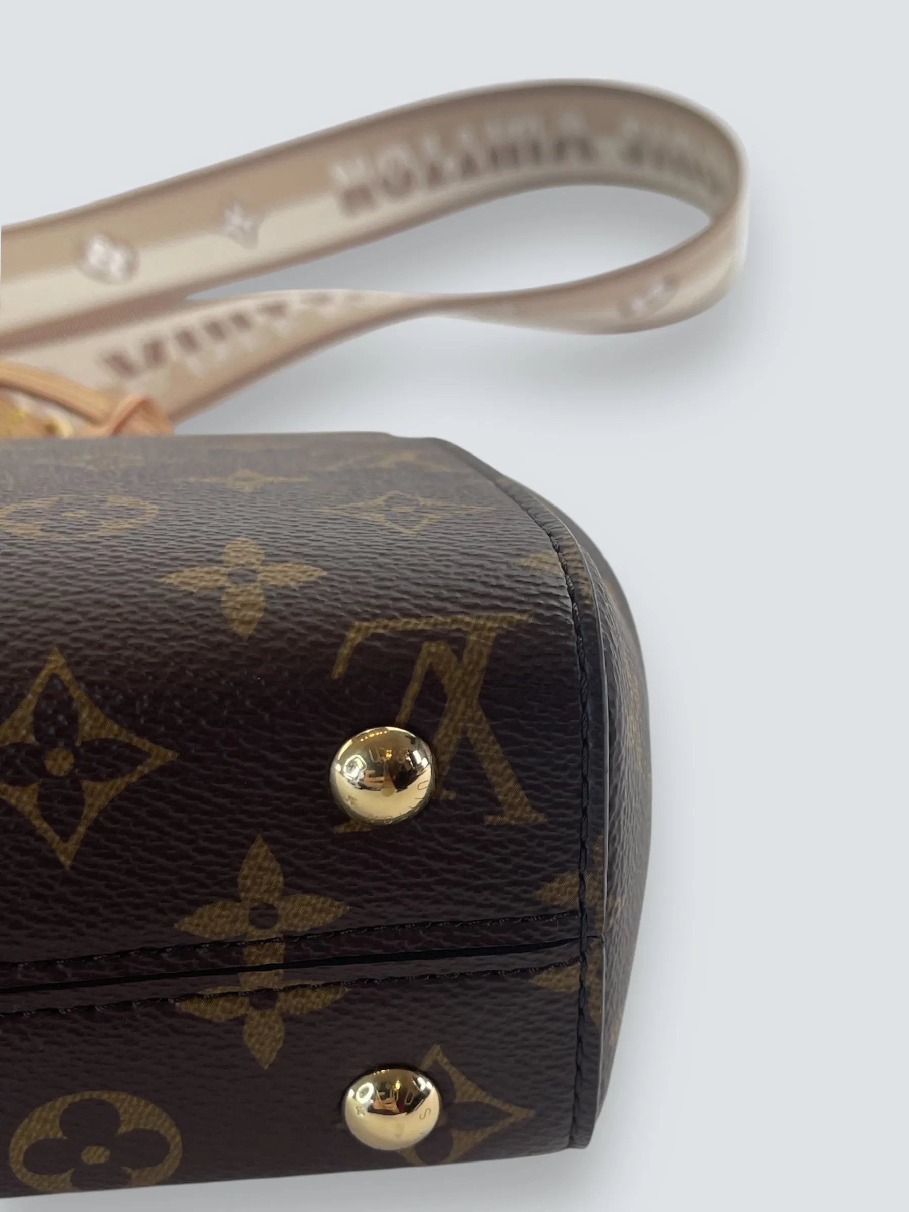 Louis Vuitton Monogram Canvas Mini Cluny Crossbody