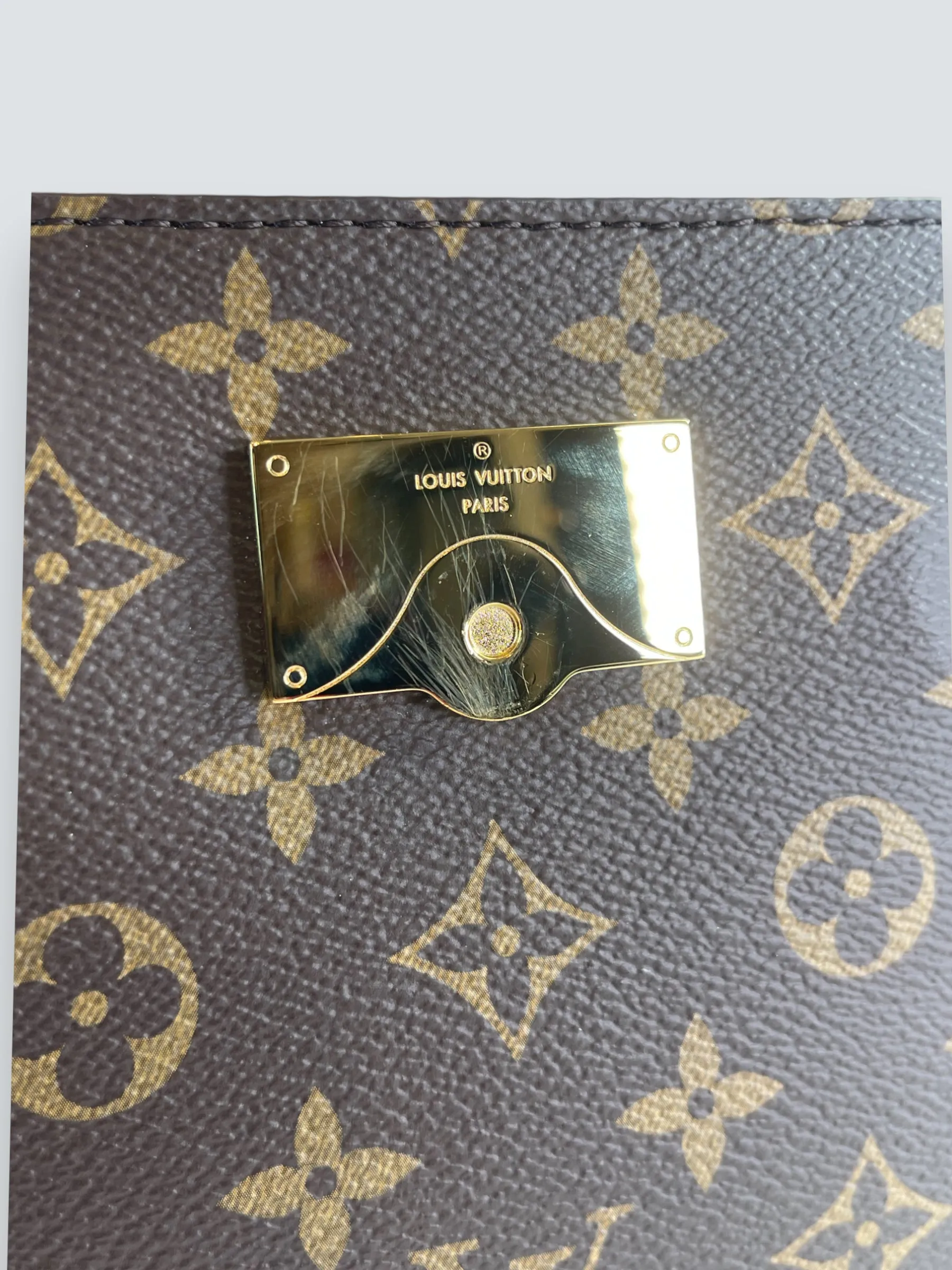 Louis Vuitton Monogram Canvas Mini Cluny Crossbody