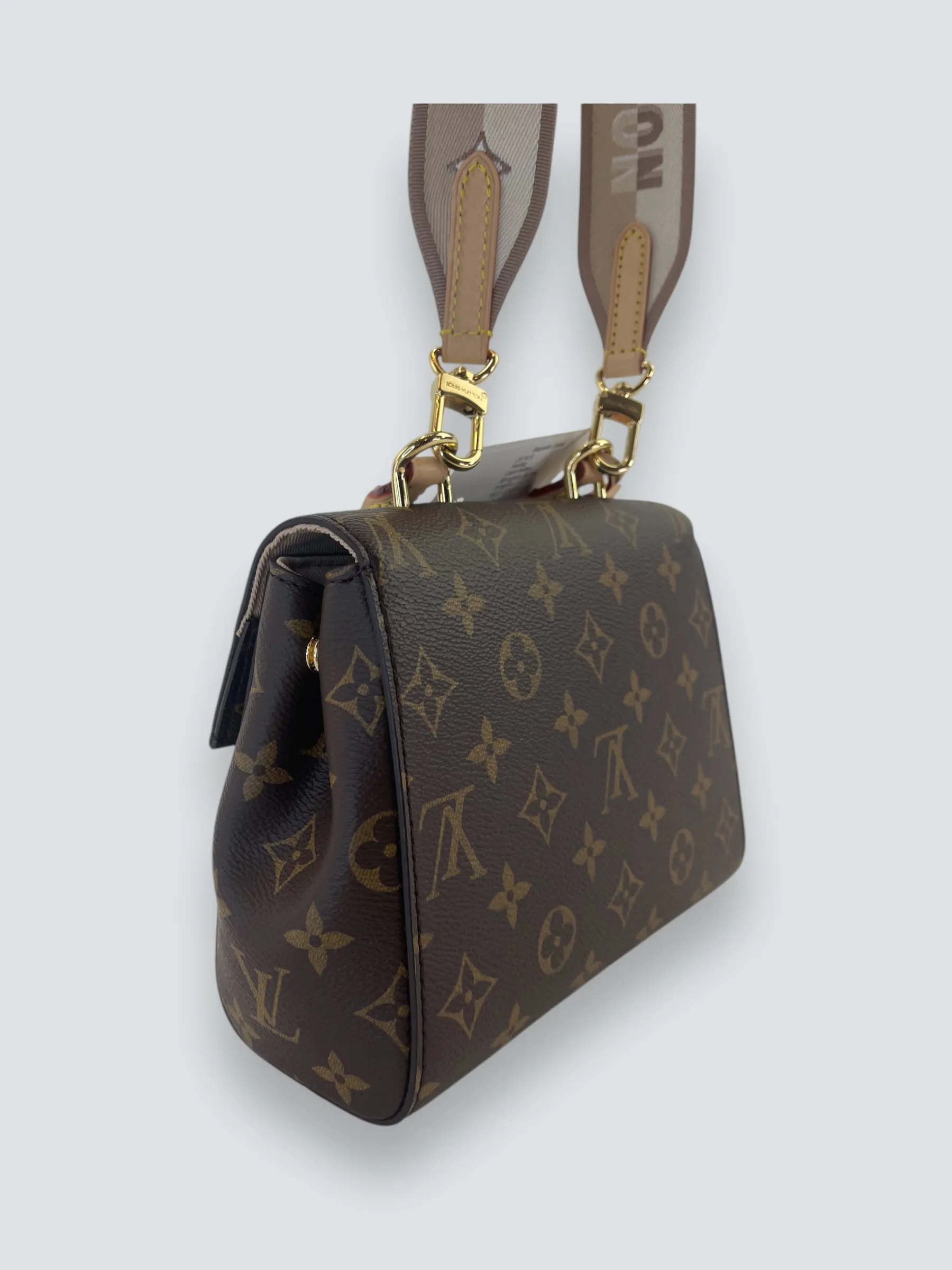 Louis Vuitton Monogram Canvas Mini Cluny Crossbody
