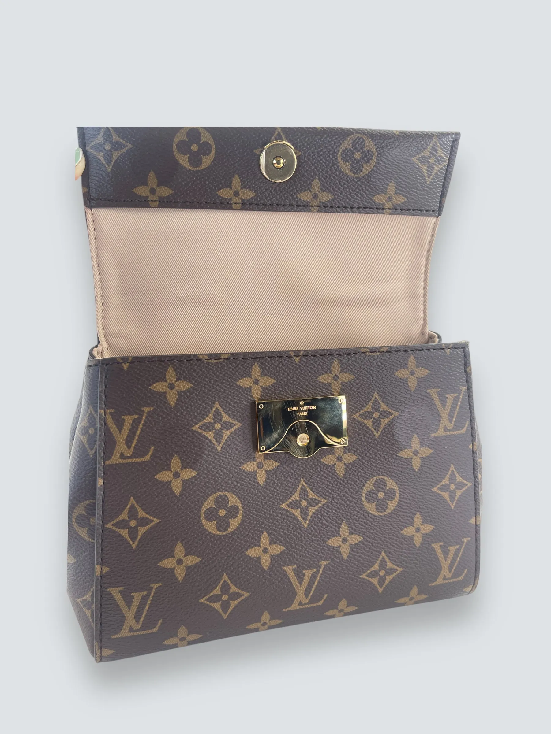 Louis Vuitton Monogram Canvas Mini Cluny Crossbody