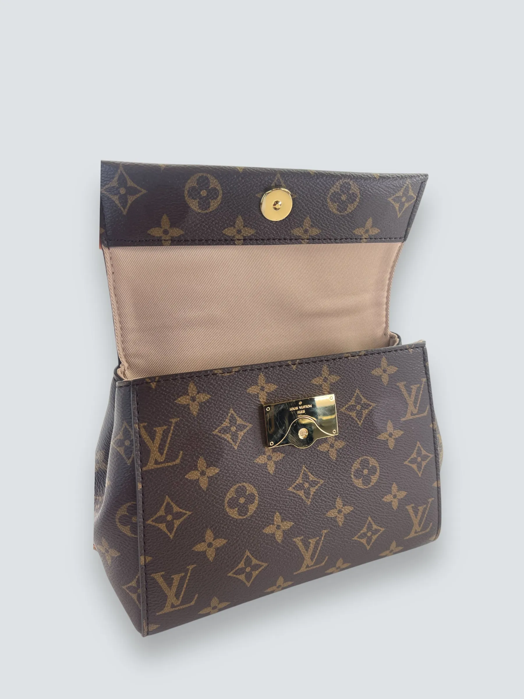 Louis Vuitton Monogram Canvas Mini Cluny Crossbody