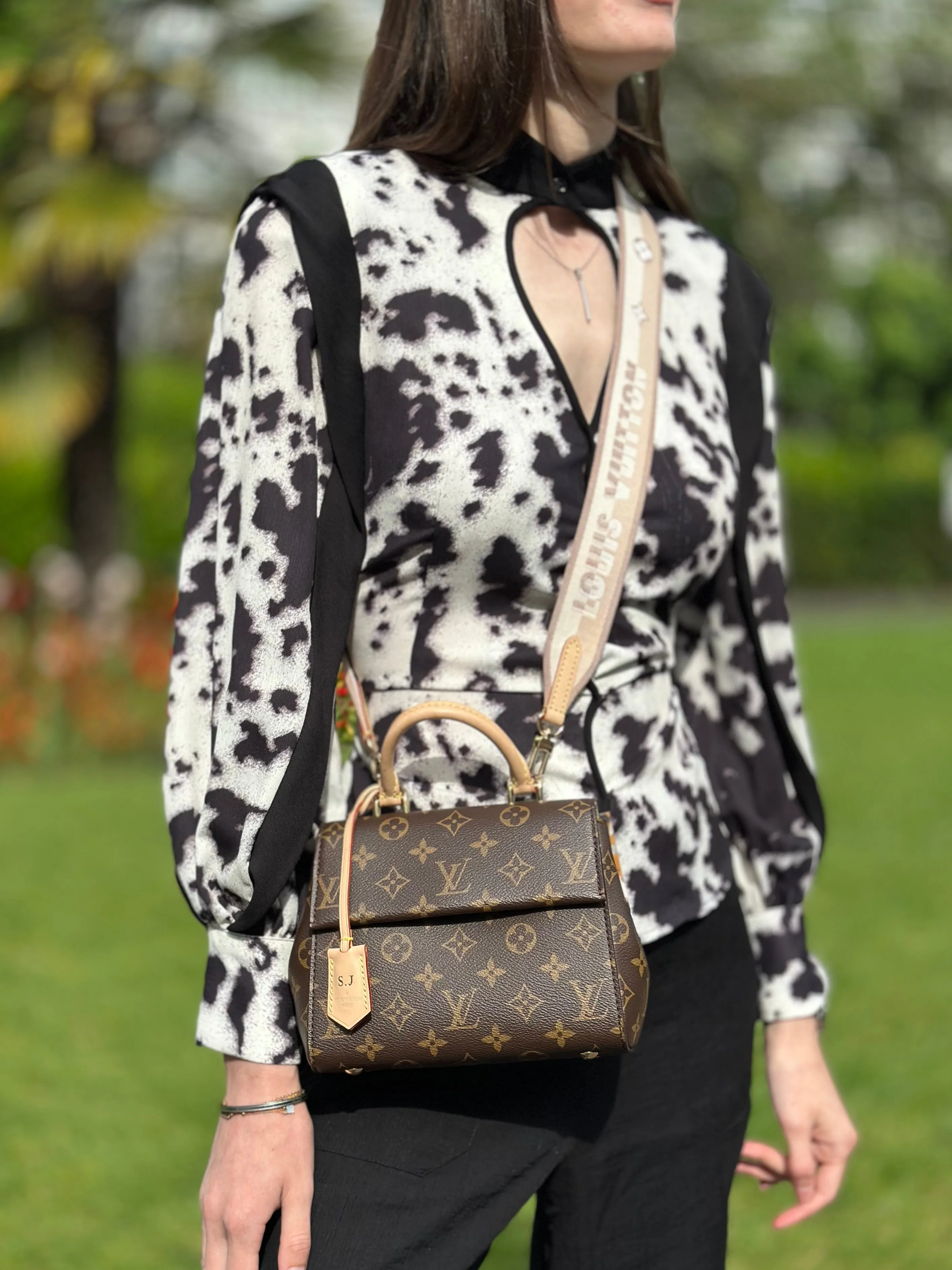 Louis Vuitton Monogram Canvas Mini Cluny Crossbody