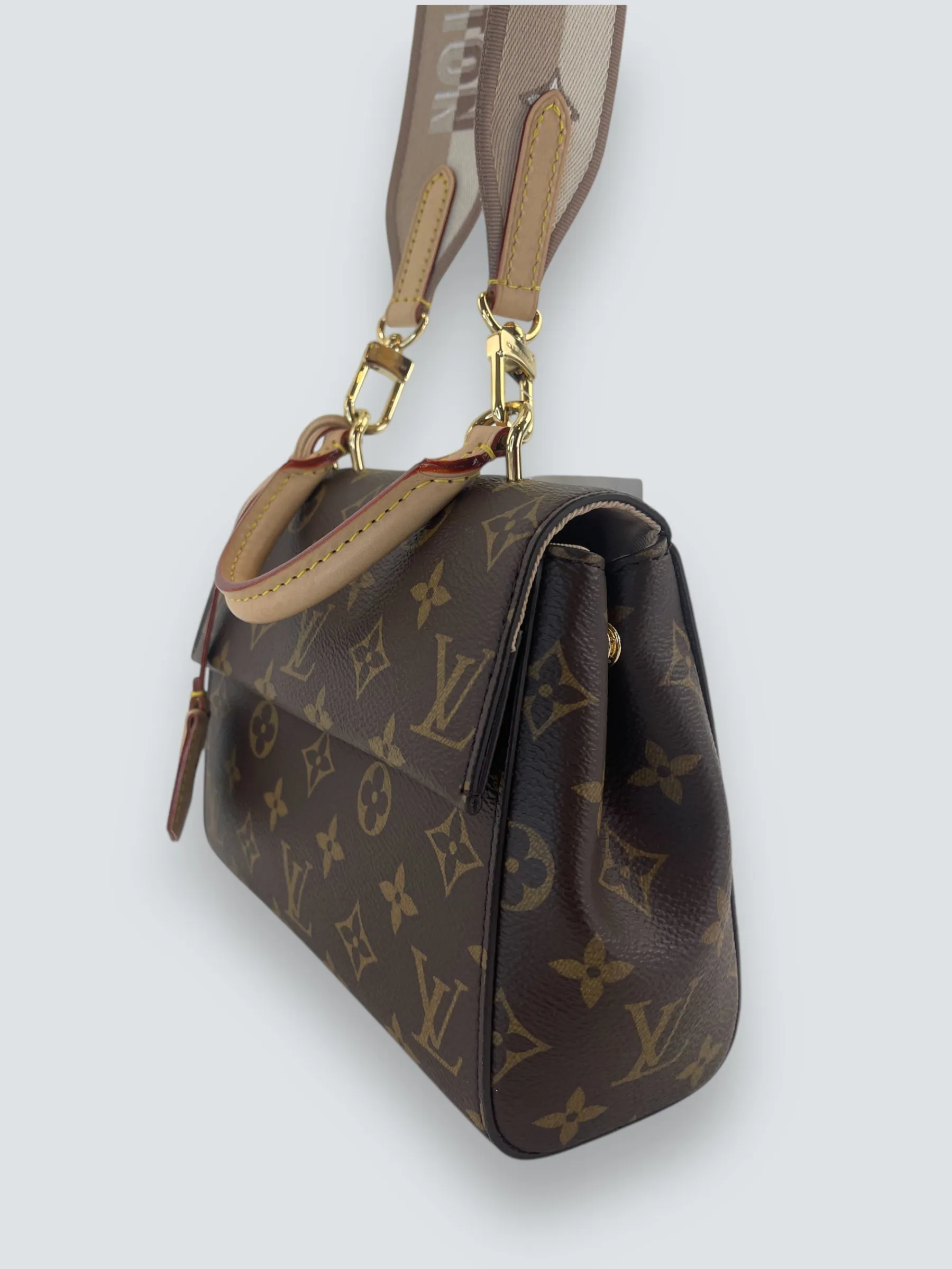 Louis Vuitton Monogram Canvas Mini Cluny Crossbody