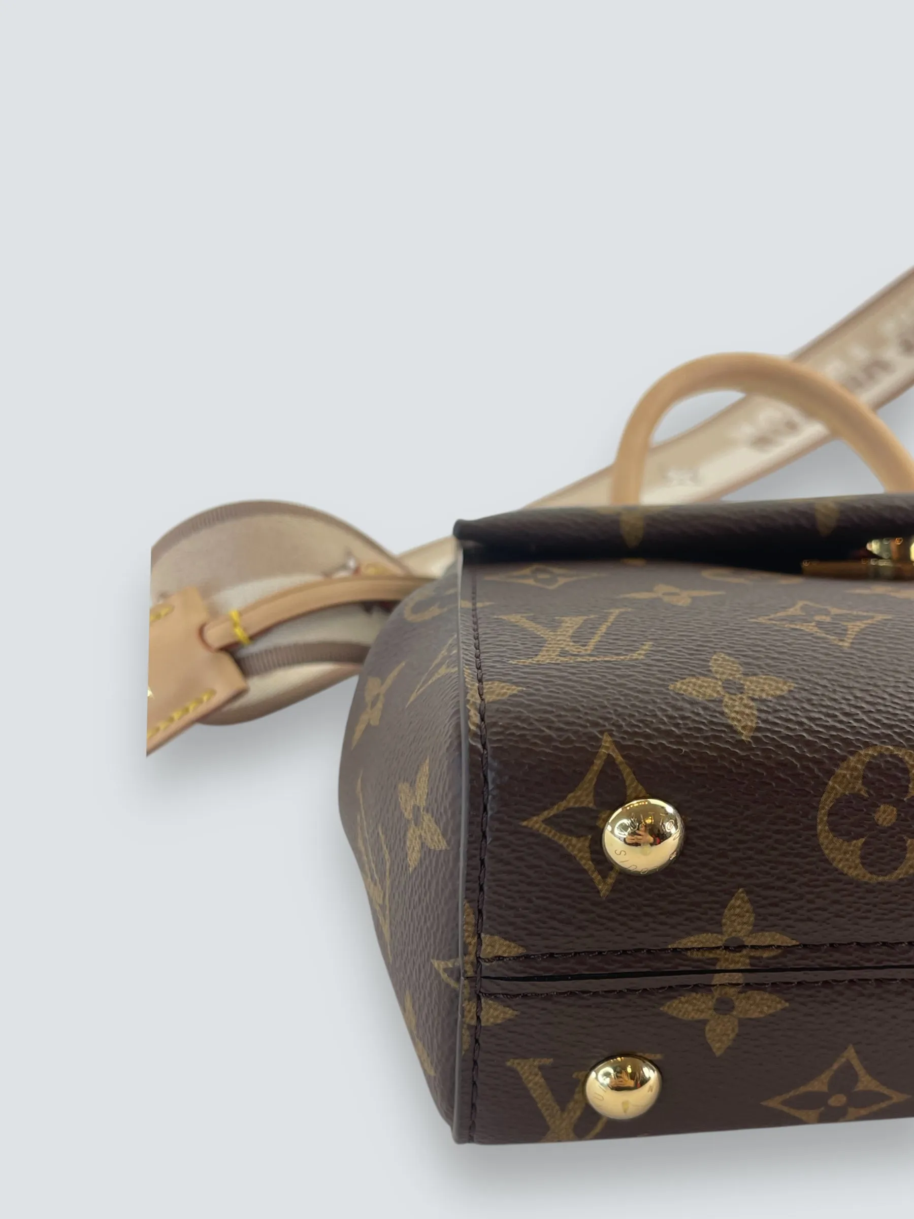 Louis Vuitton Monogram Canvas Mini Cluny Crossbody