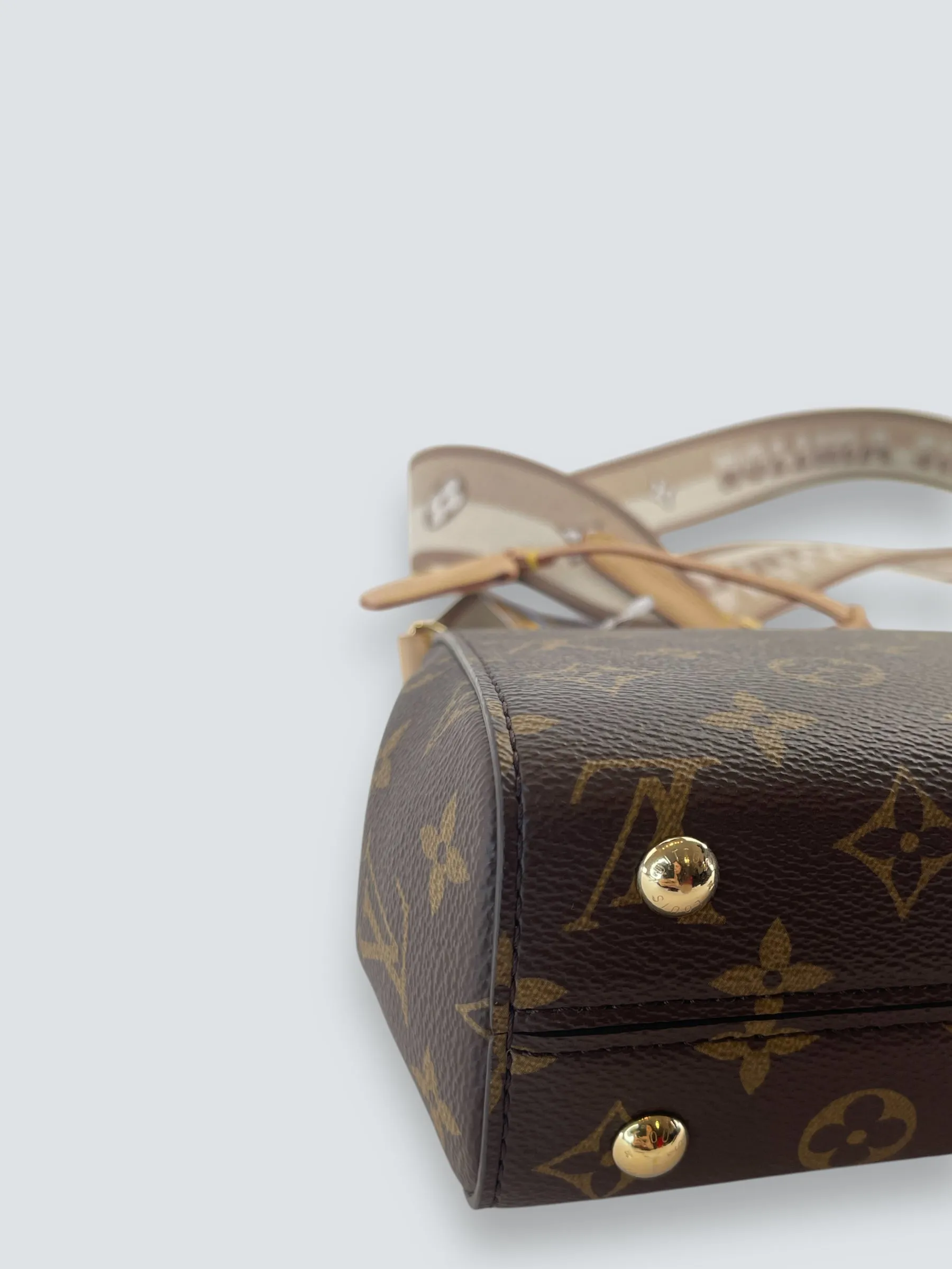Louis Vuitton Monogram Canvas Mini Cluny Crossbody