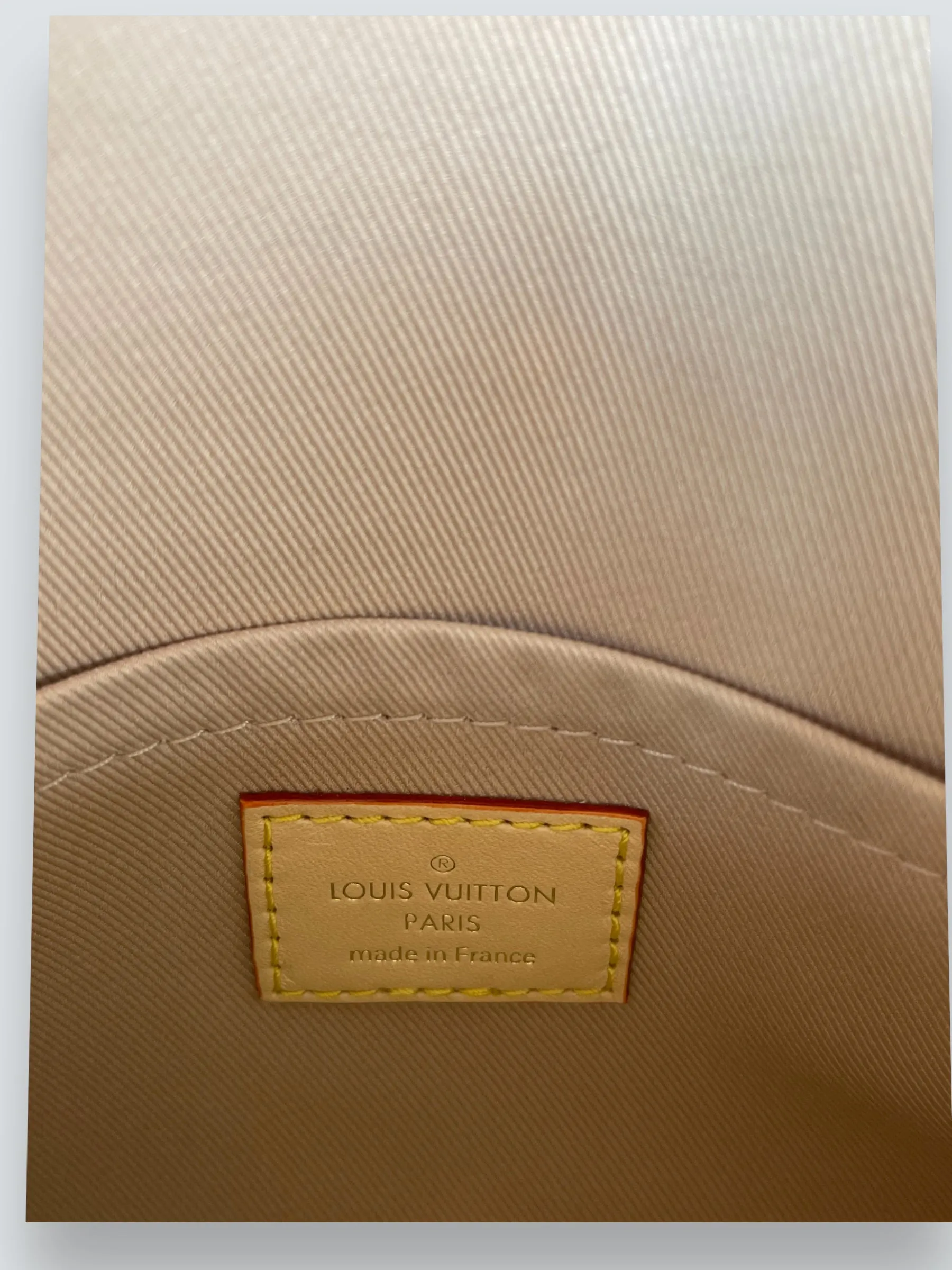 Louis Vuitton Monogram Canvas Mini Cluny Crossbody