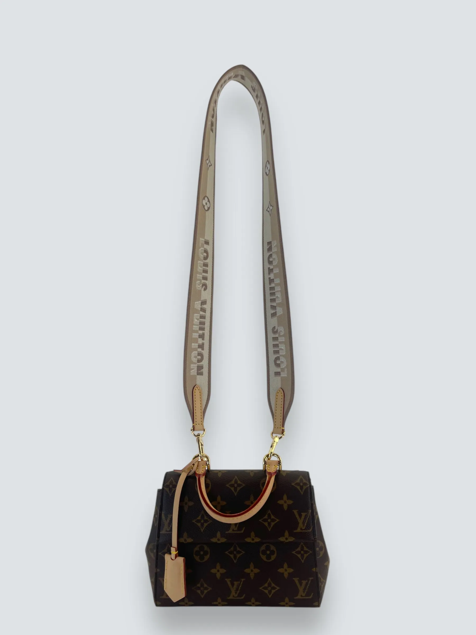 Louis Vuitton Monogram Canvas Mini Cluny Crossbody