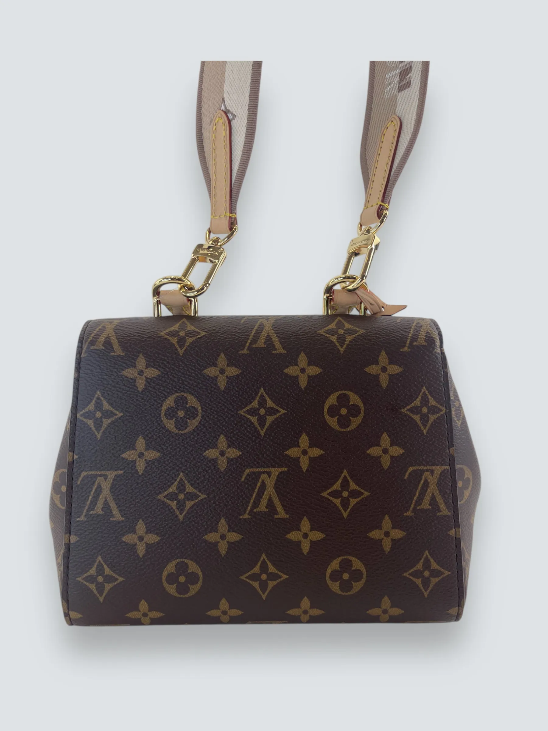 Louis Vuitton Monogram Canvas Mini Cluny Crossbody
