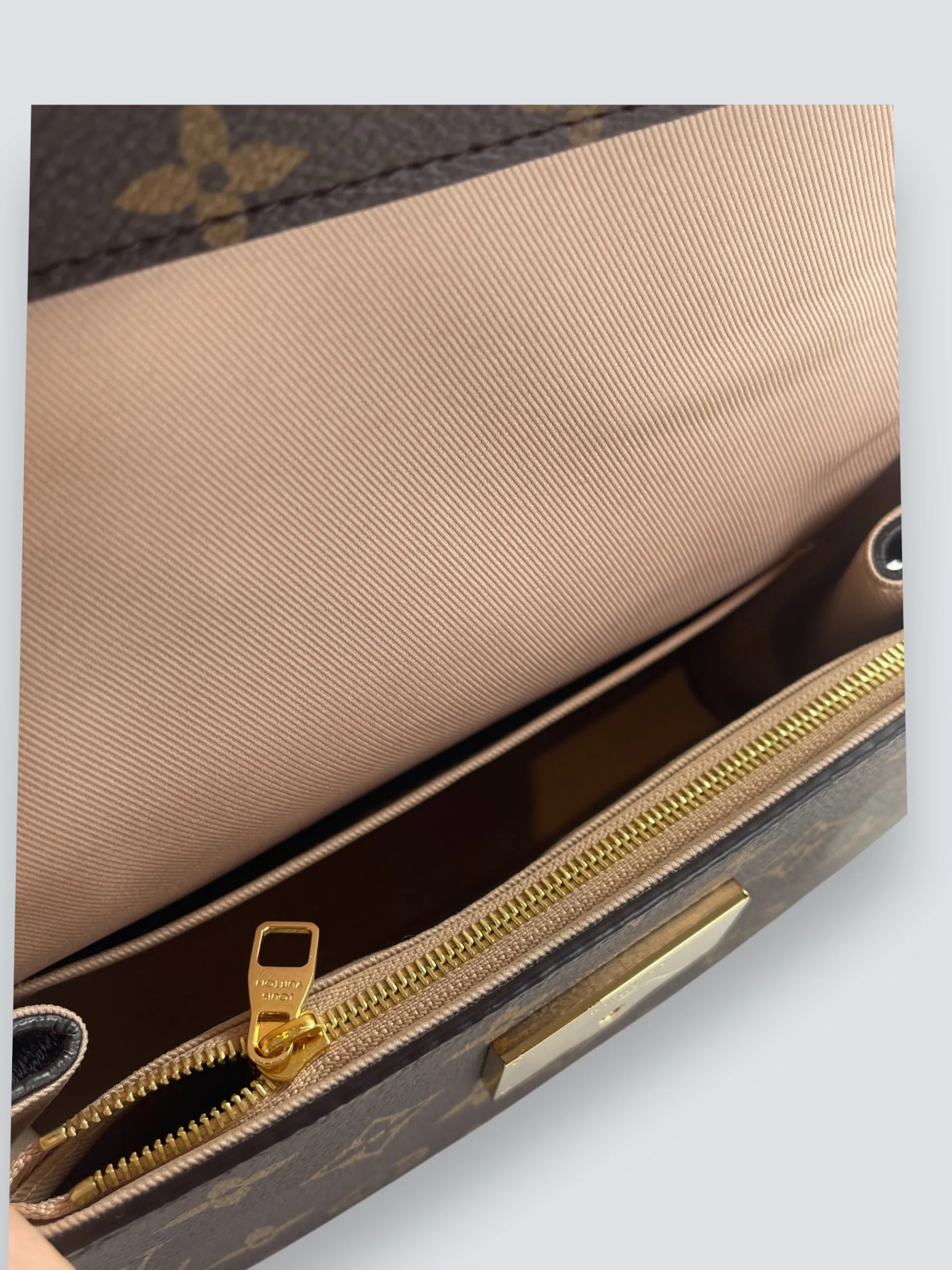 Louis Vuitton Monogram Canvas Mini Cluny Crossbody