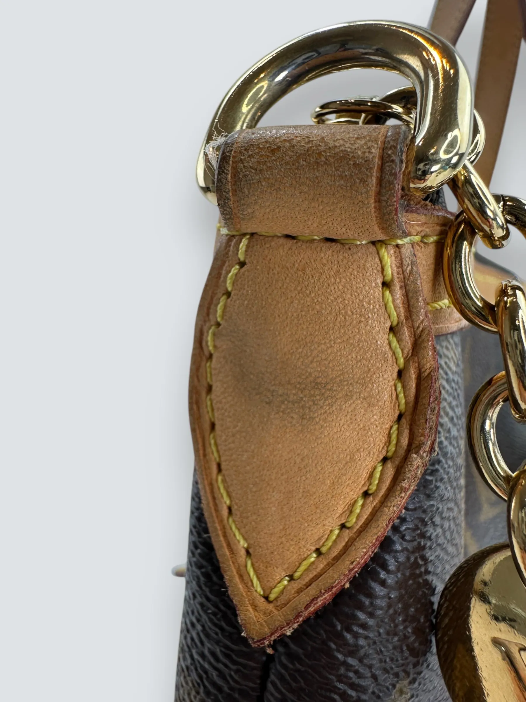 Louis Vuitton Monogram Canvas "Palermo" GM