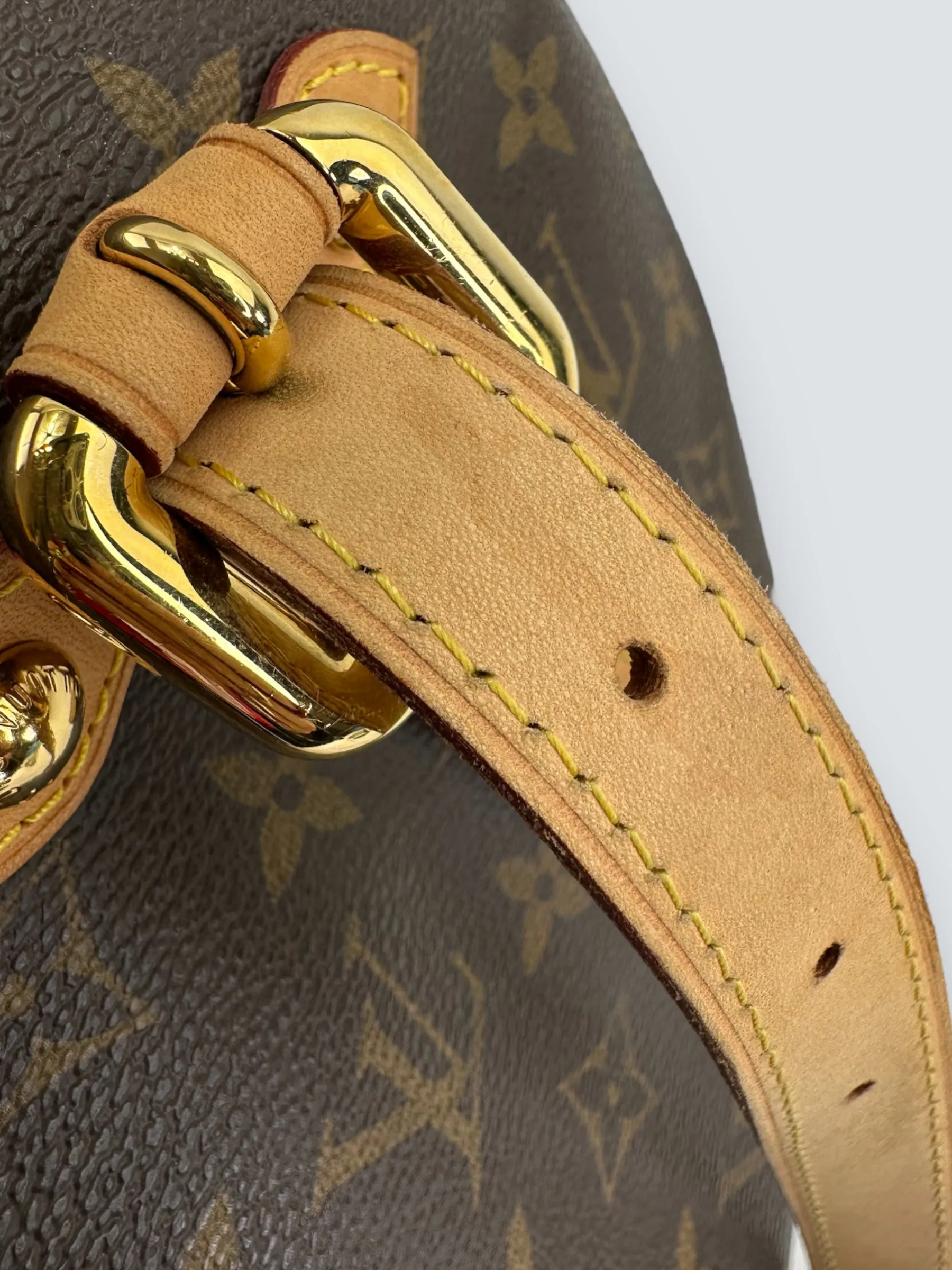 Louis Vuitton Monogram Canvas "Palermo" GM