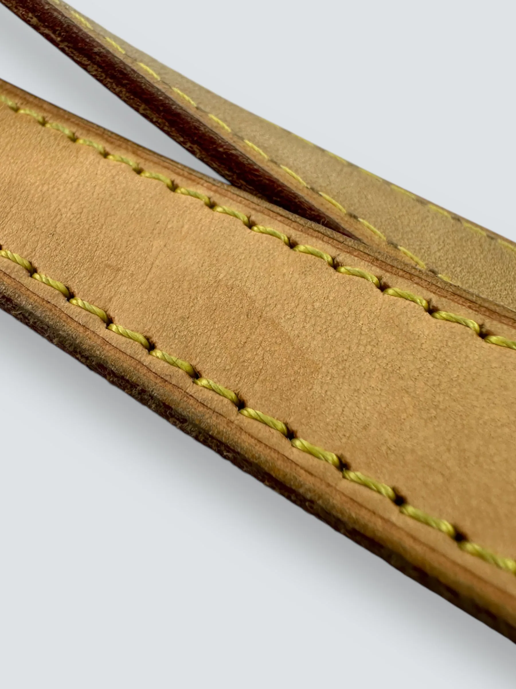 Louis Vuitton Monogram Canvas "Palermo" GM