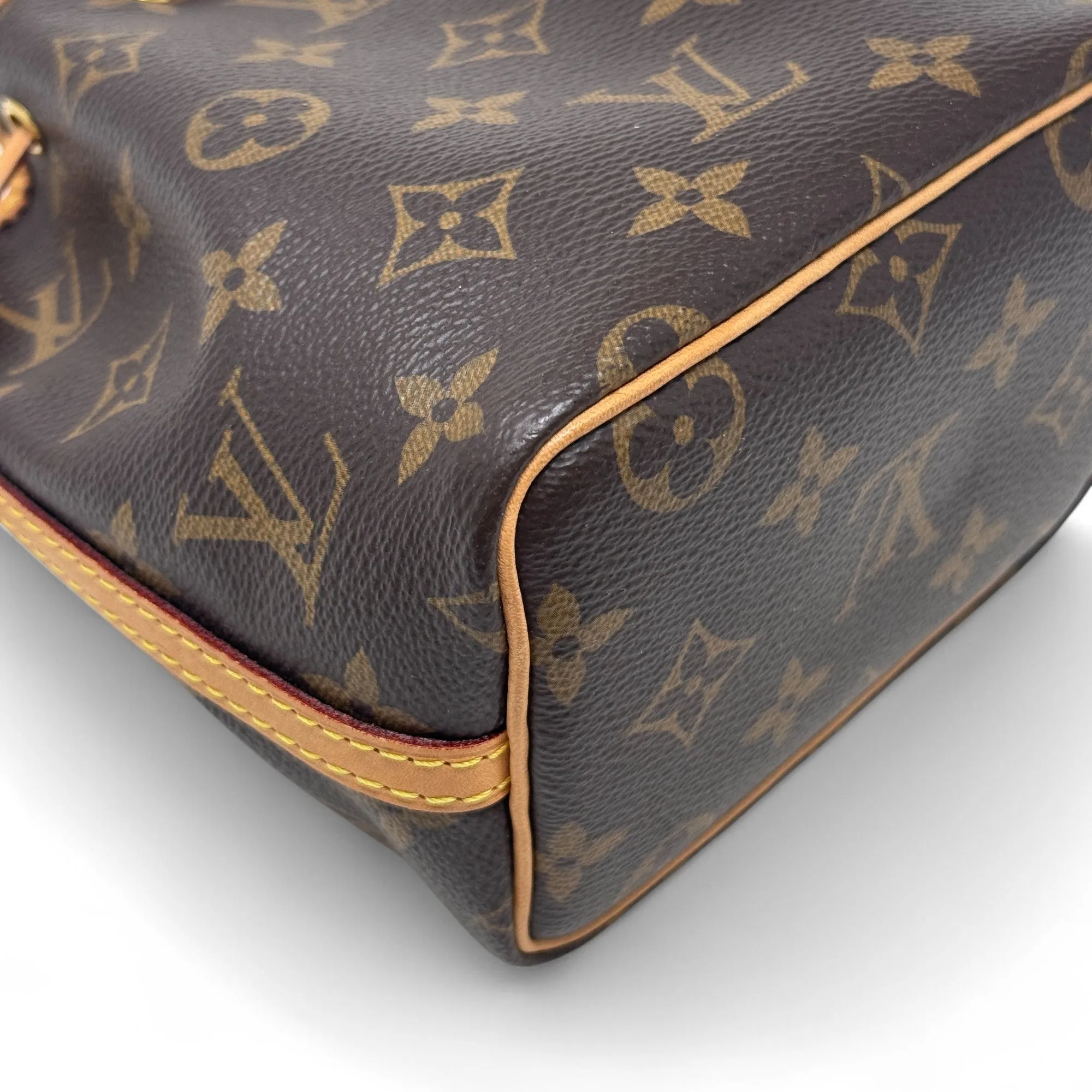 Louis Vuitton Monogram Nano Noe