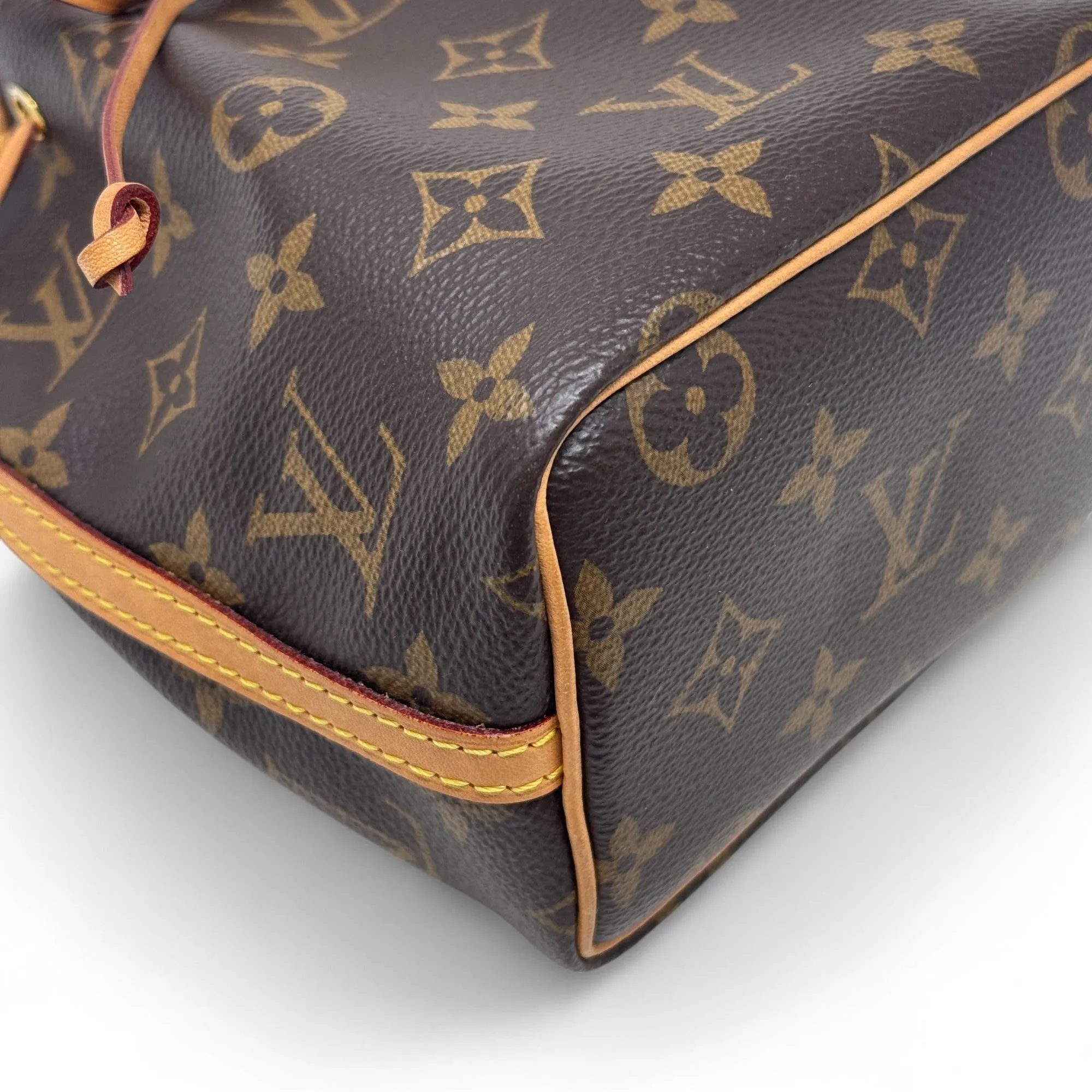 Louis Vuitton Monogram Nano Noe